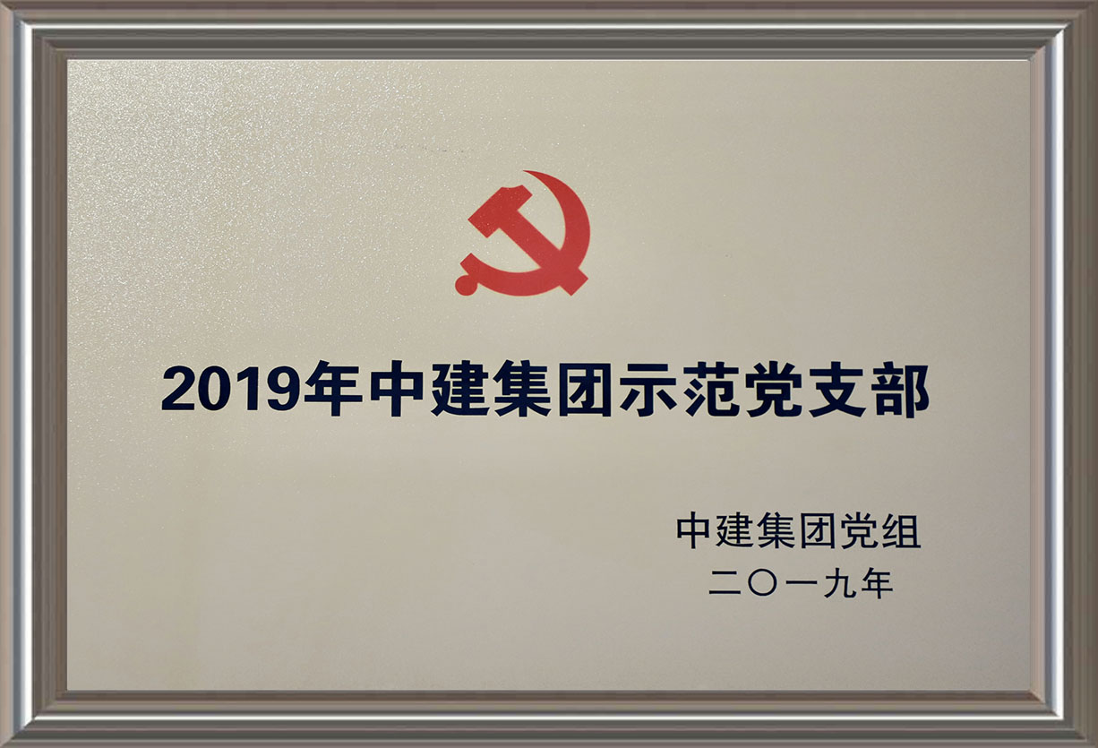 2019年中建集團示范黨支部